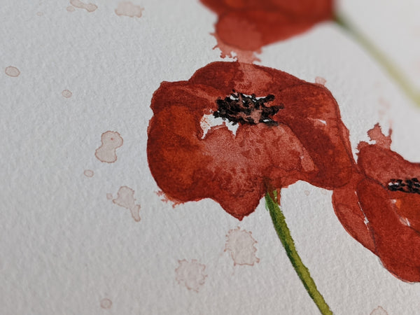 Original Watercolor - 'Poppies II'